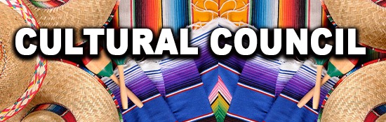 India Venezuela Business and Cultural Council - Cultural Council